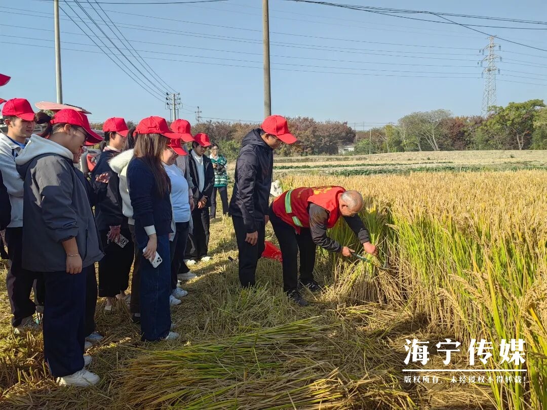 16157546076934.jpeg 微信图片_20251126143908.jpg