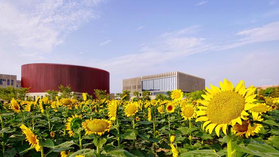 浙江机电职业技术学院风景。王陈斌 摄